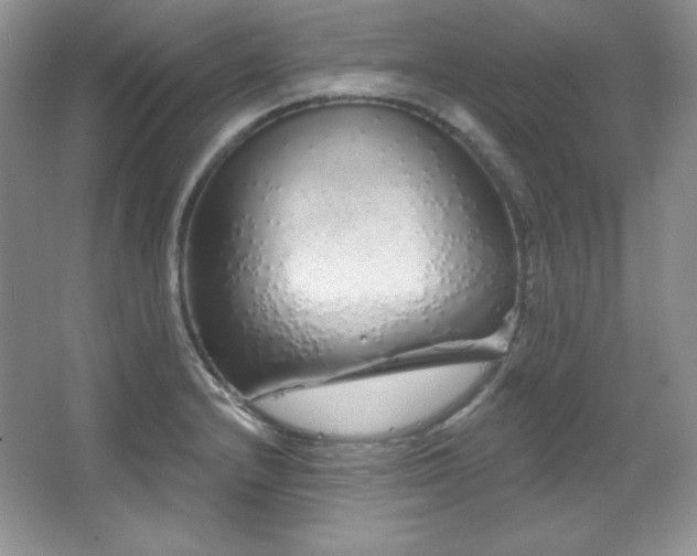 X0000067941232200604131440
