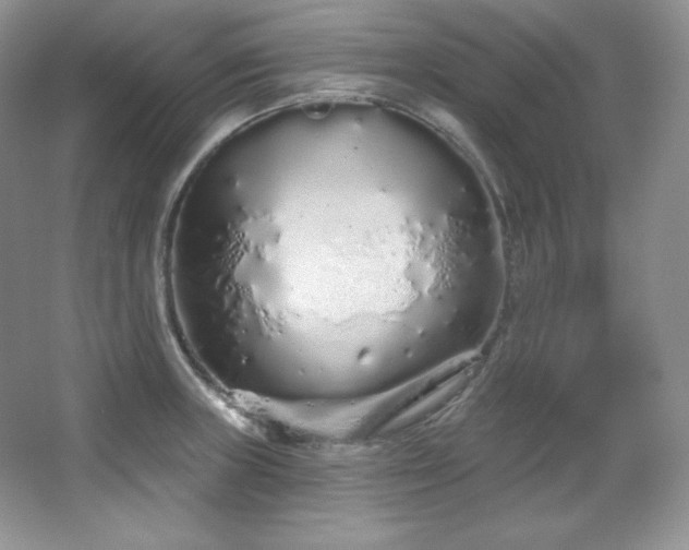 X0000067941235200604131440