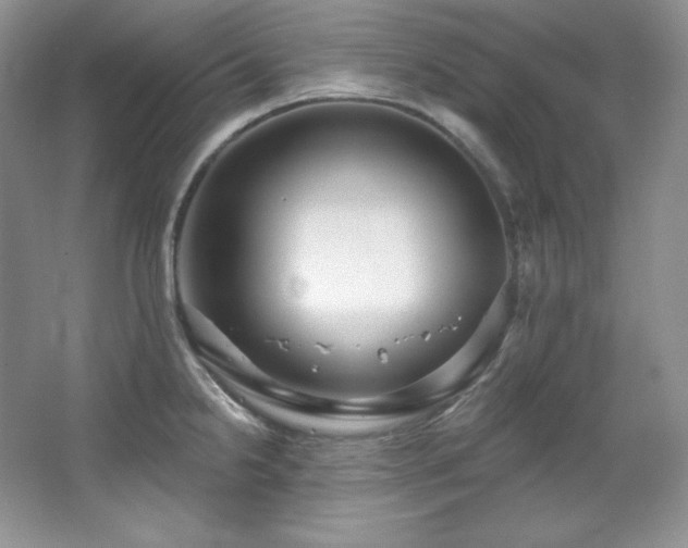X0000067941238200604131440