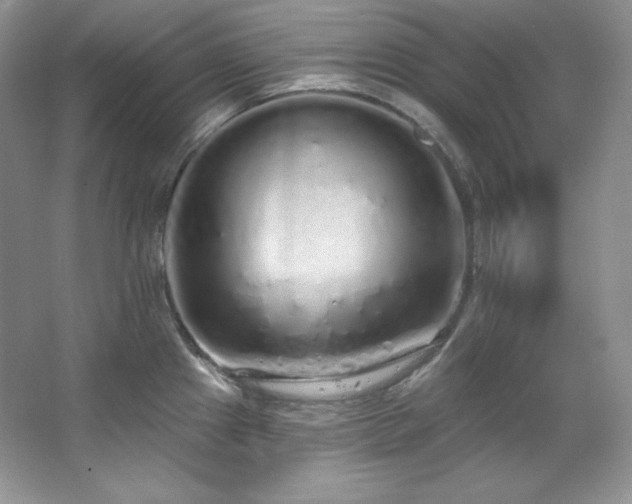 X0000067941241200604131440