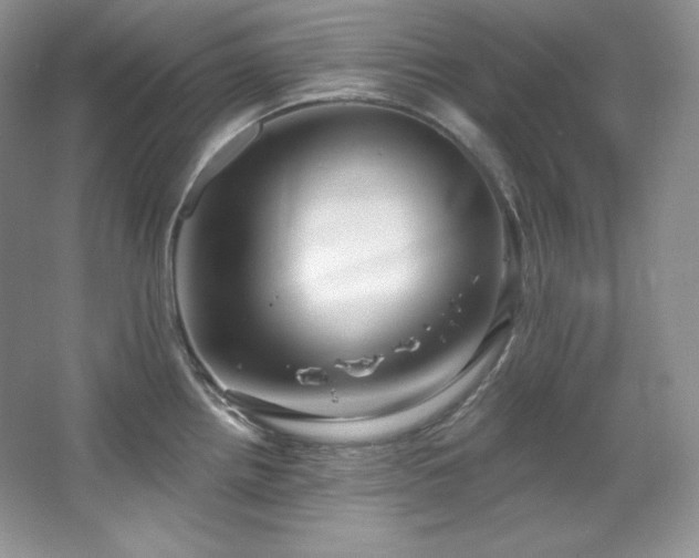 X0000067941242200604131440