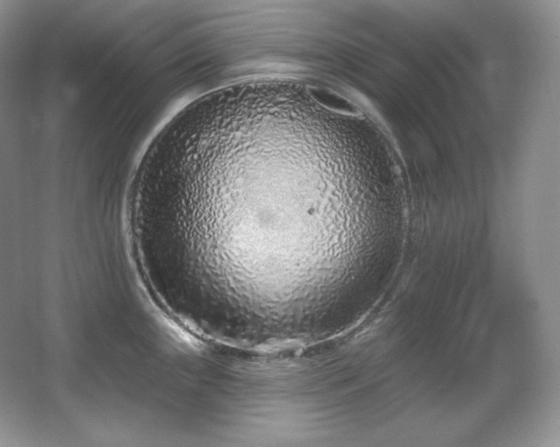 X0000067941243200604131440