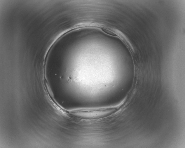 X0000067941244200604131440