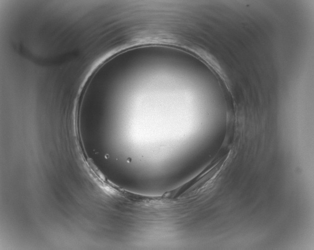 X0000067941246200604131440
