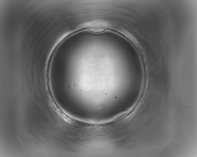 X0000067941248200604131441