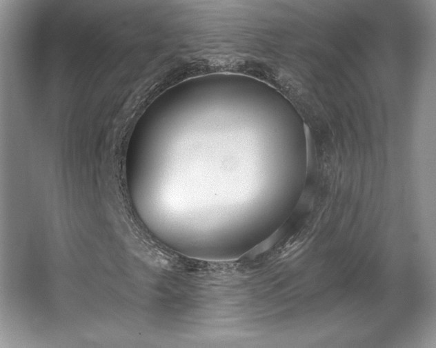 X0000067941249200604131440
