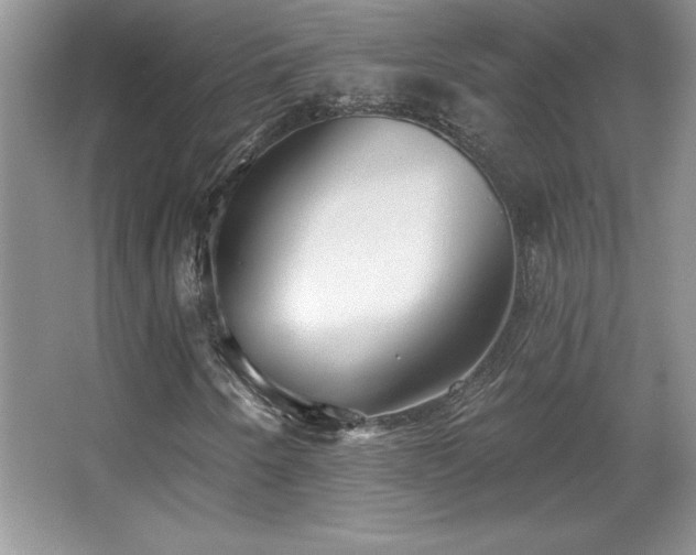 X0000067941250200604131440