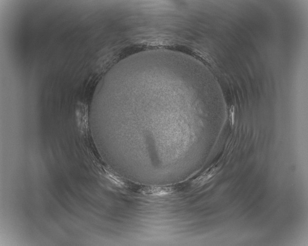 X0000067941251200604131440