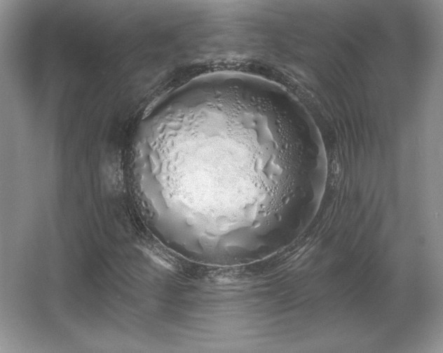 X0000067941252200604131440