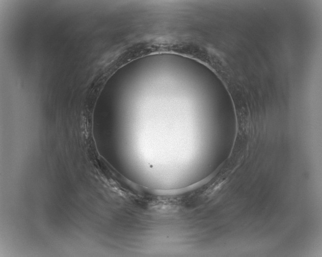 X0000067941253200604131440