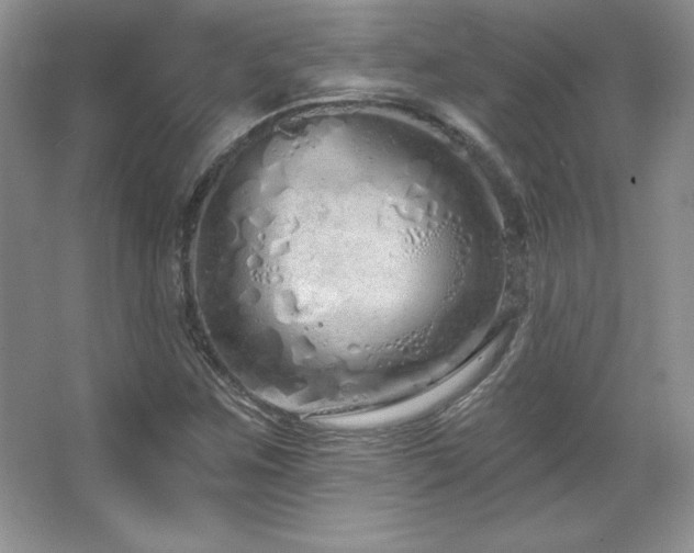 X0000067941259200604131440
