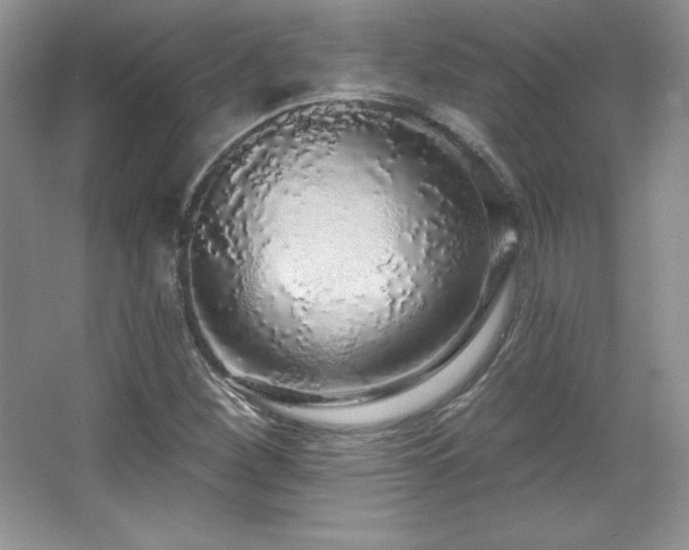 X0000067941260200604131440