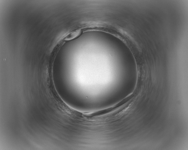 X0000067941261200604131440