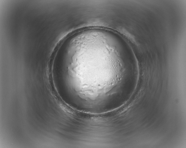 X0000067941264200604131439