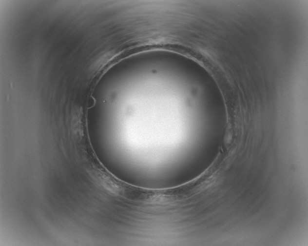 X0000067941265200604131439