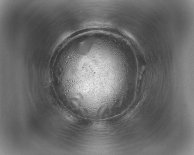 X0000067941267200604131439