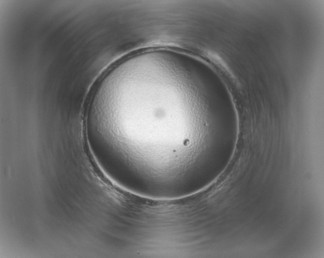 X0000067941268200604131439