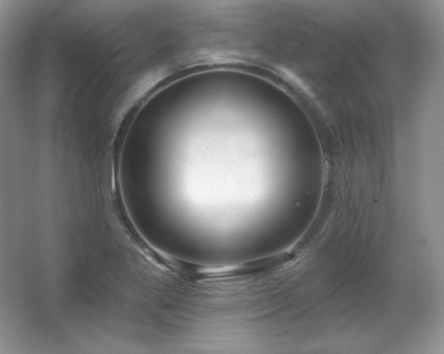 X0000067941269200604131439