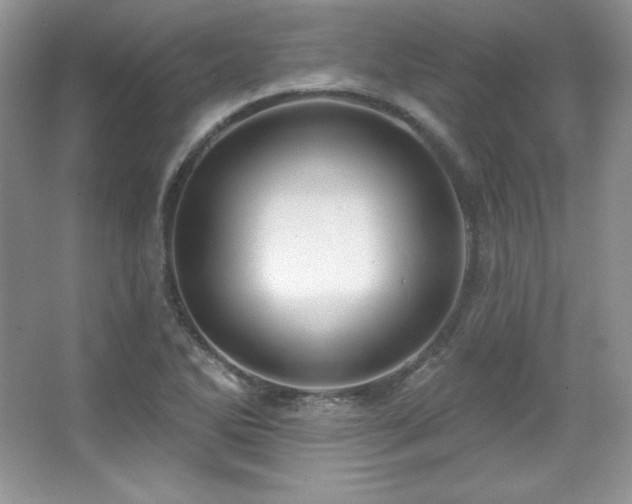 X0000067941270200604131439