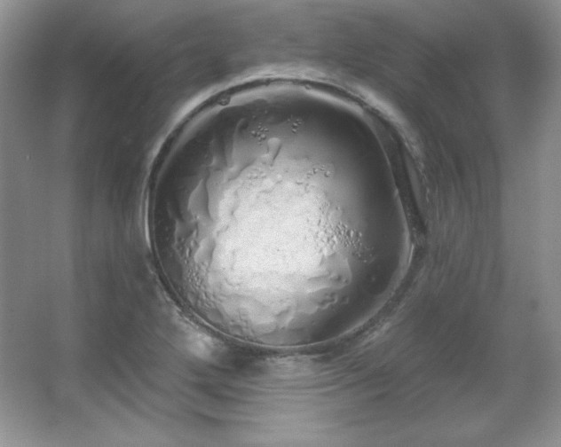 X0000067941272200604131439