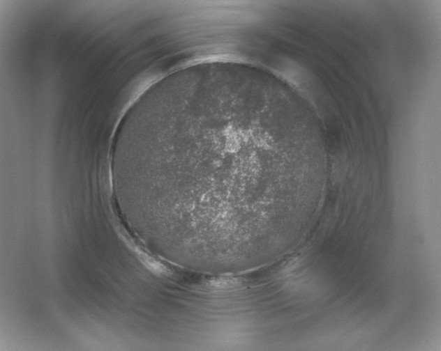 X0000067941274200604131439
