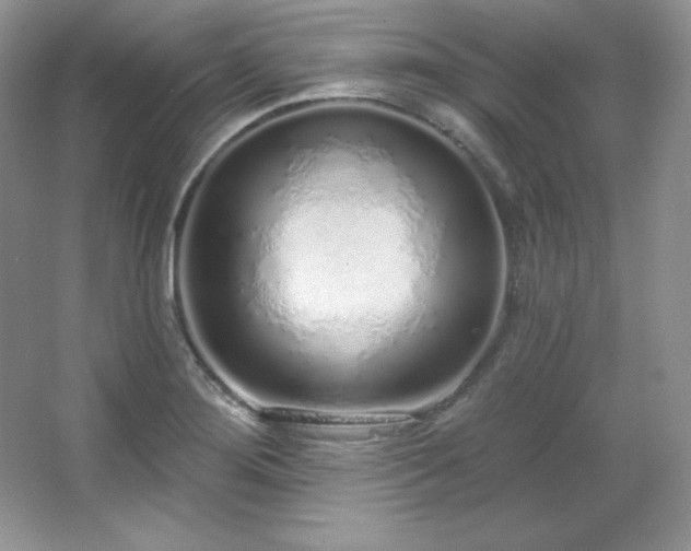 X0000067941276200604131439