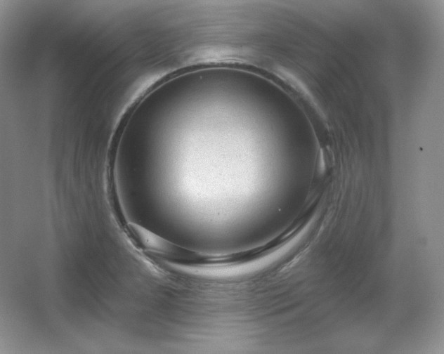 X0000067941277200604131439