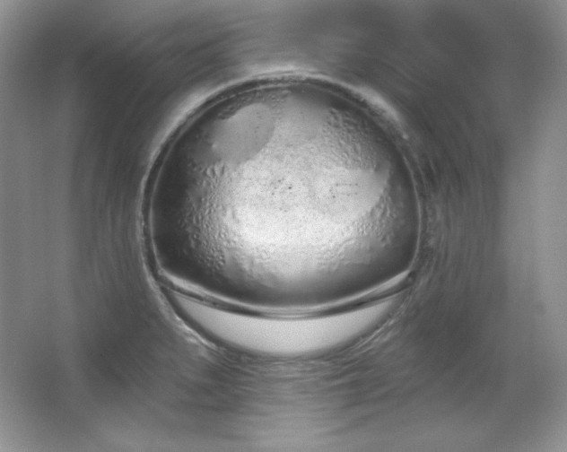 X0000067941279200604131439