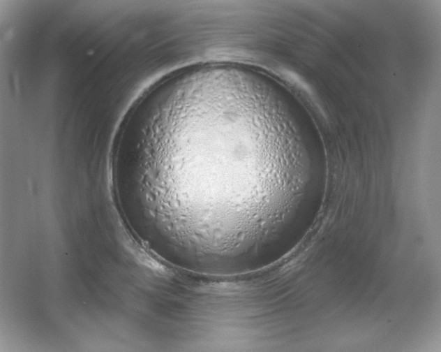 X0000067941280200604131439