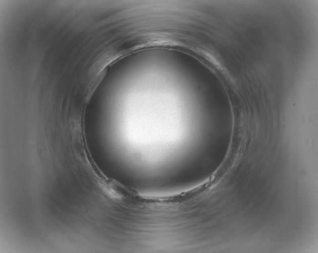 X0000067941281200604131439