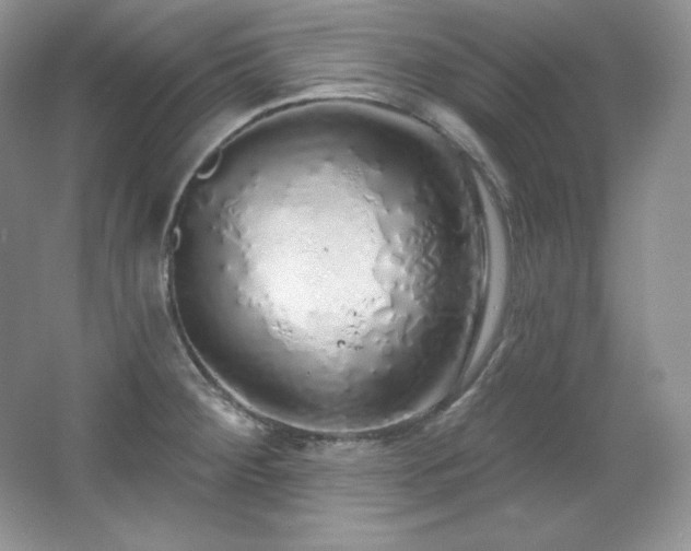 X0000067941284200604131439