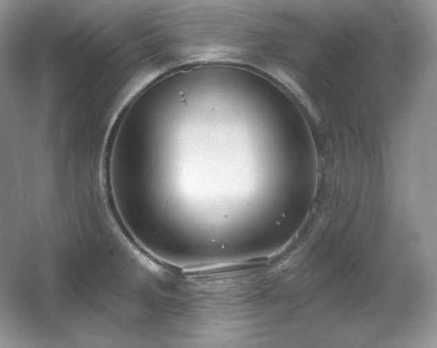 X0000067941285200604131439