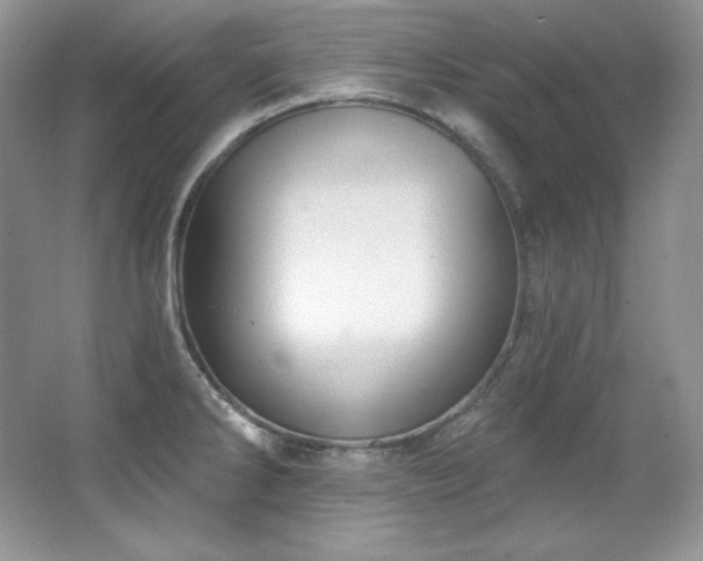 X0000067941286200604131439
