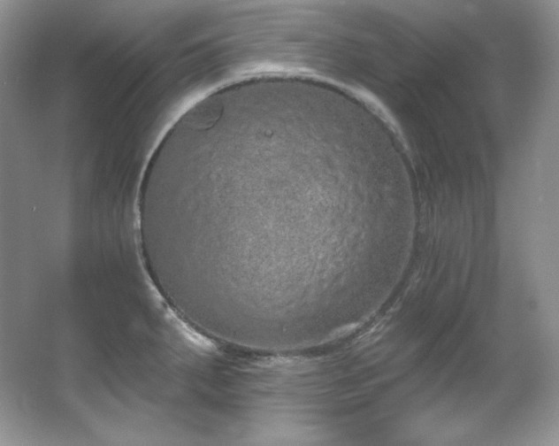 X0000067941287200604131439