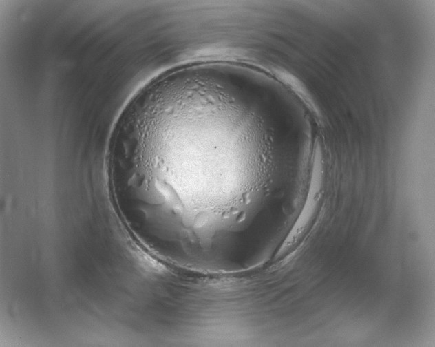 X0000067941288200604131439