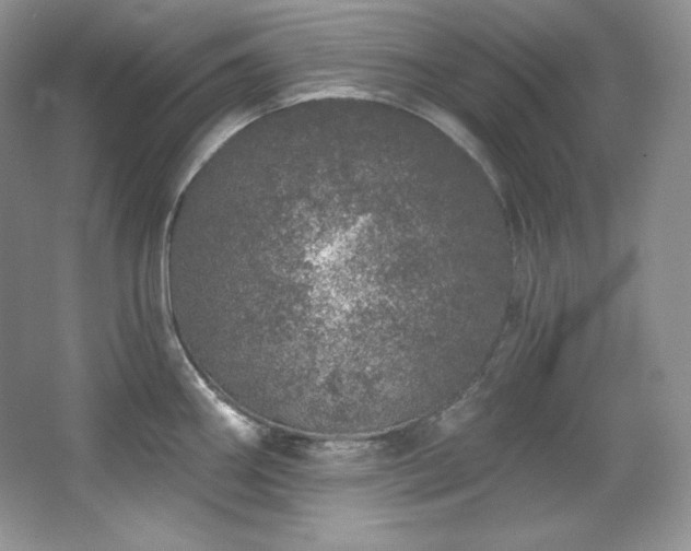 X0000067941290200604131439