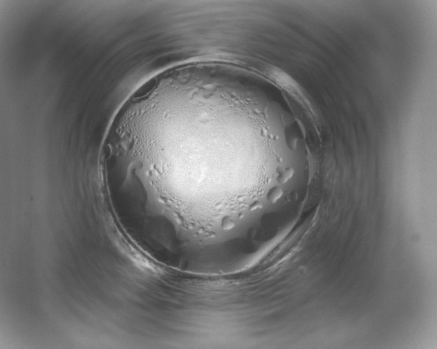 X0000067941292200604131439