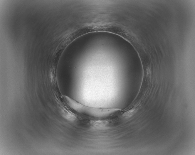 X0000067941300200604131438