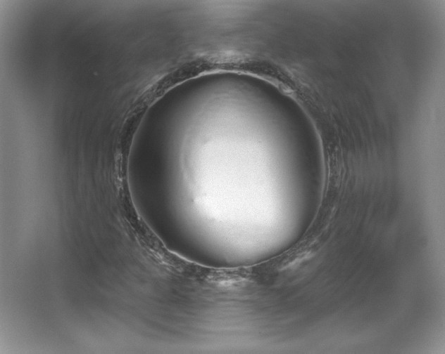 X0000067941301200604131438