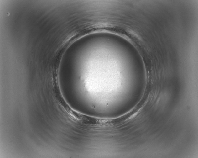X0000067941305200604131438