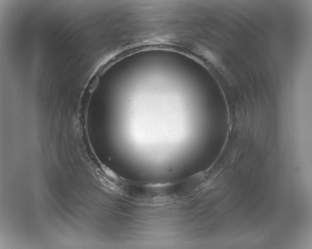 X0000067941308200604131438