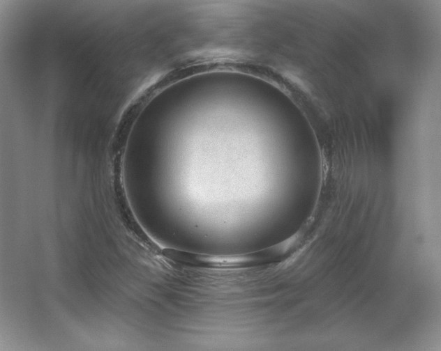 X0000067941309200604131438