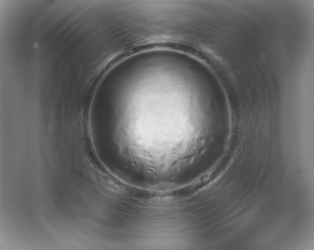 X0000067941313200604131438