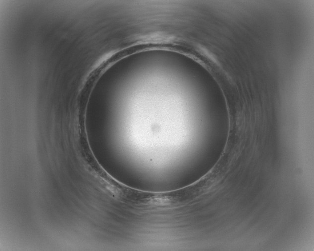 X0000067941315200604131438