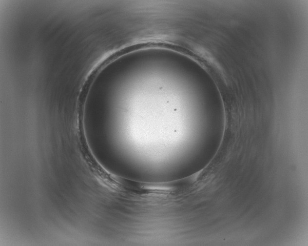 X0000067941316200604131438