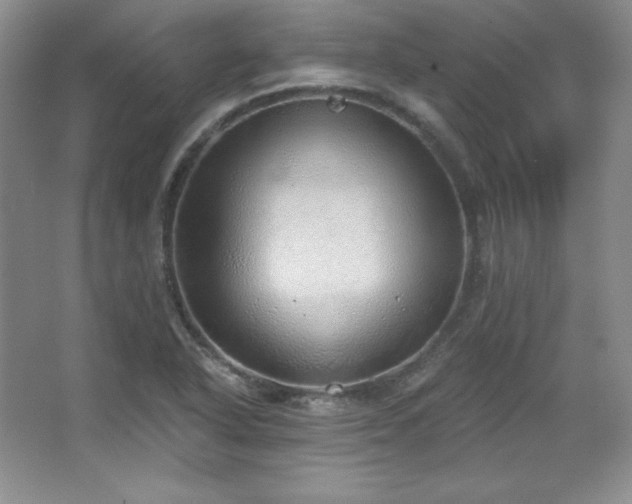 X0000067941318200604131438