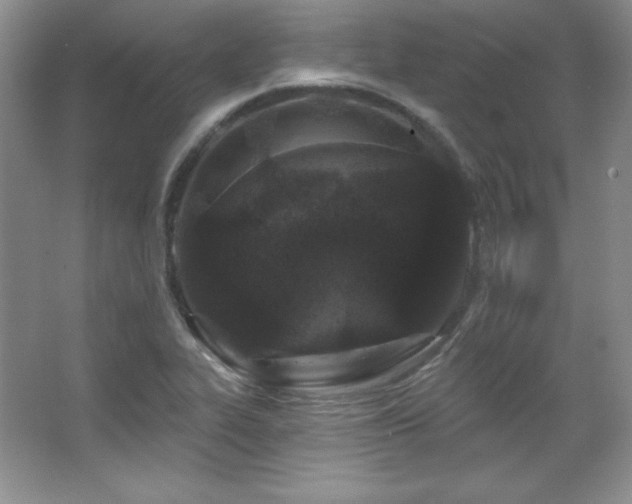 X0000067941319200604131438