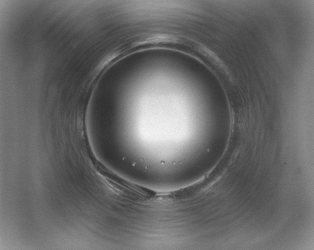 X0000067941321200604131439