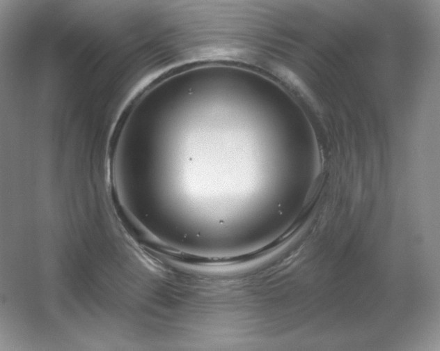 X0000067941324200604131439