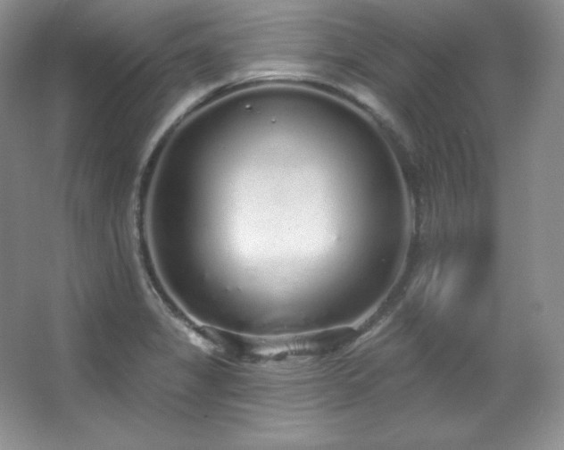 X0000067941325200604131439